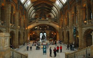 natural_history_museum.jpg